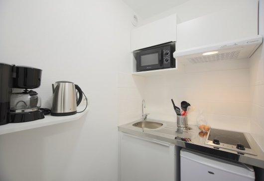 1BR apt for business trip