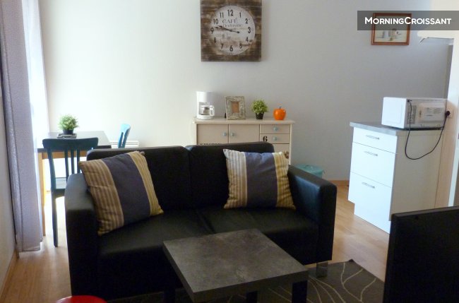 Apartment. Furnished 1BR Toulouse