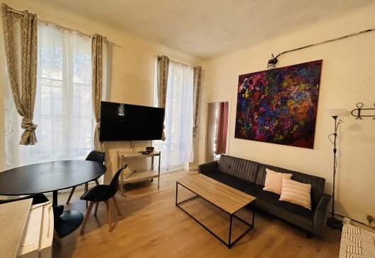 Furnished and decorated 1BR flat