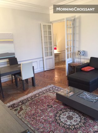 An apartment in the Champs Elysées