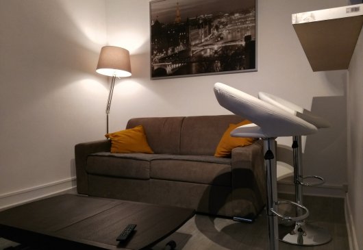 Comfy Parisian studio
