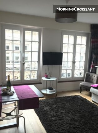 Furnished studio Strasbourg