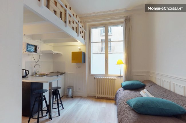 Furnished Studio For Rent In Paris Small Robiac