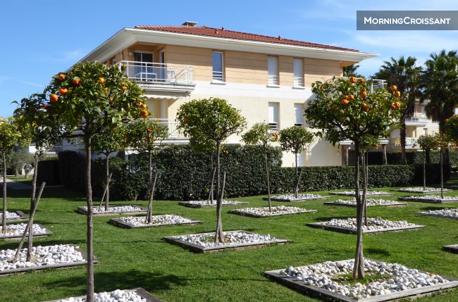 Apartment near the Center and beach