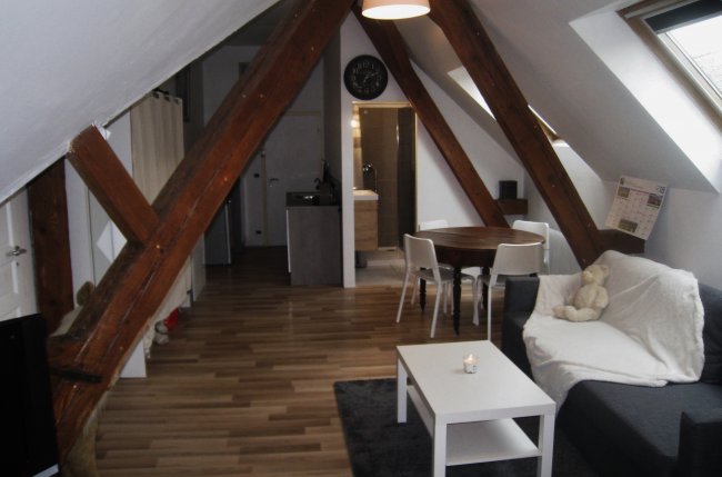 Studio apartment 45 sqm