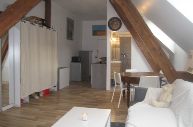 Studio apartment 45 sqm