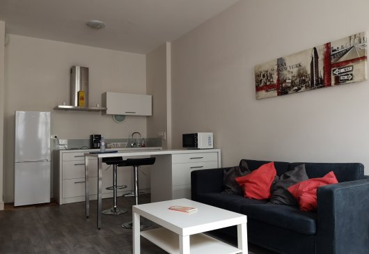 Furnished studio Nantes centre