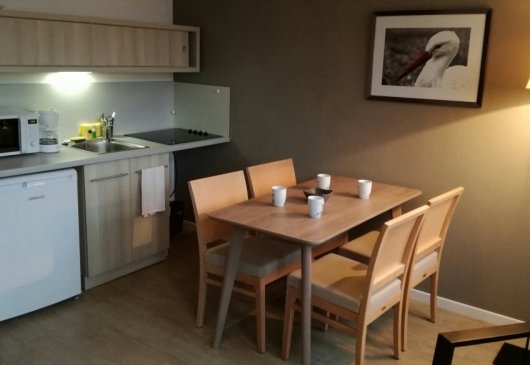 Fully equipped apartments for rent