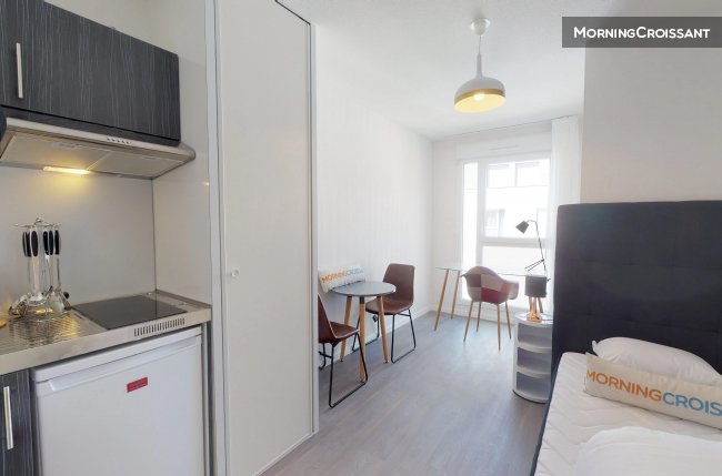 Studio 1 single bed