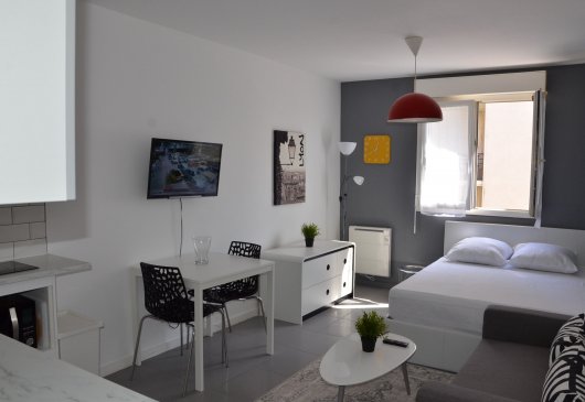 Renovated studio - Caluire St Clair