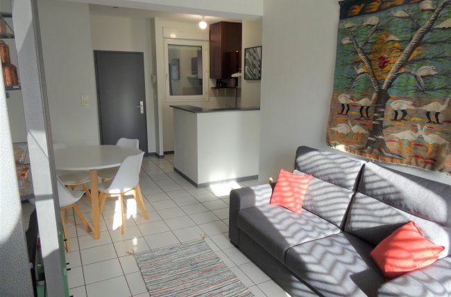 1 Br flat in St. Cyprien