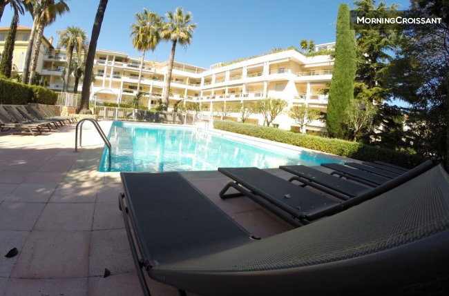 Ideal location, Quiet, Swimming poo