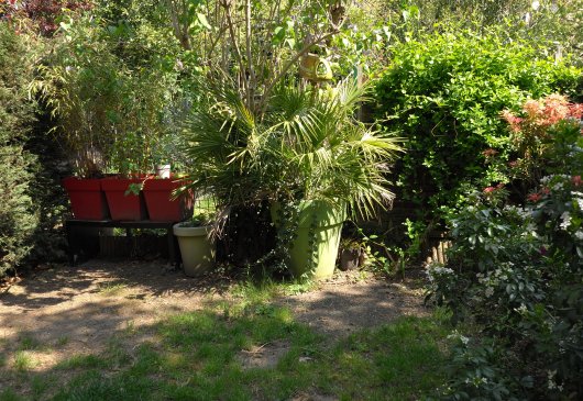 Lyon Croix Rousse furnished garden