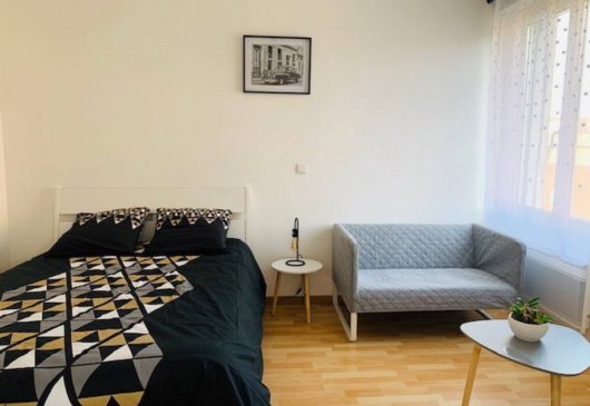 Comfort flat in the city centre