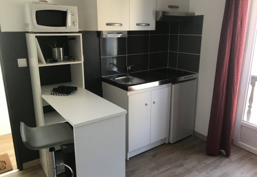 1 brm FURNISHED near EDF