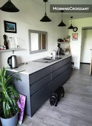 1 room available in Beautiful flat