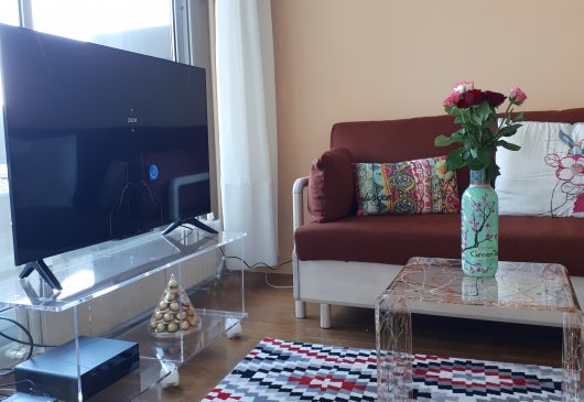 Beautiful studio flat in Bastille