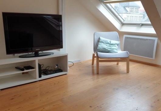 Cozy flat city center Mulhouse