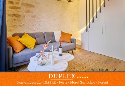 Duplex 7'Fontainebleau-INSEAD