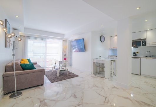 Magnificent Apartment Croisette