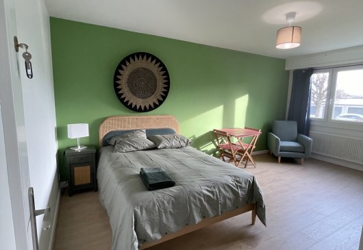 Roommate - Green room - Metz