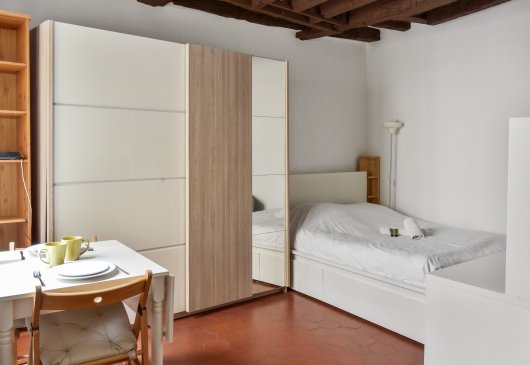 Beautiful studio close to Chatelet