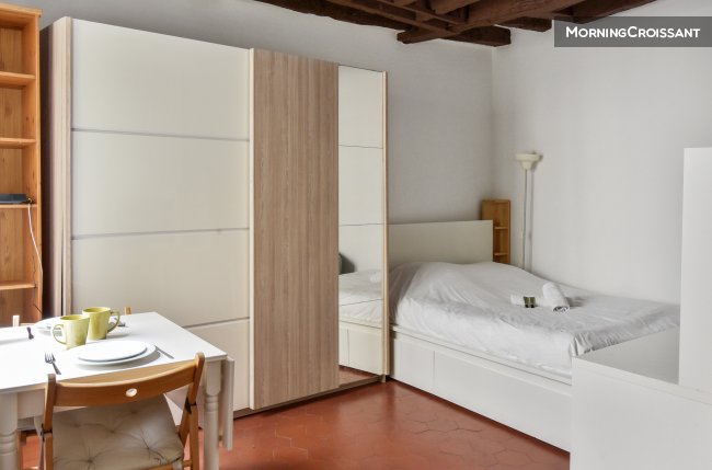 Beautiful studio close to Chatelet