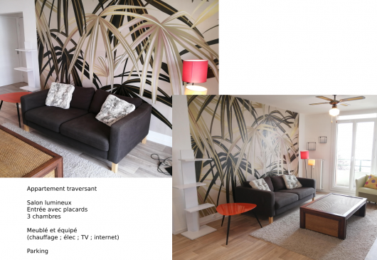 T4 65m² furnished - Bel Air Limoges
