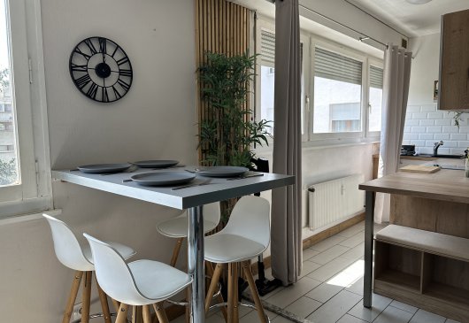 Modern studio in the heart of Annem