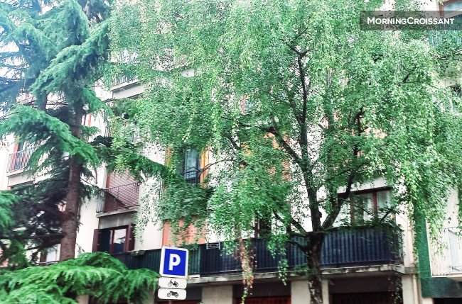 Furnished Studio Paris 15ème