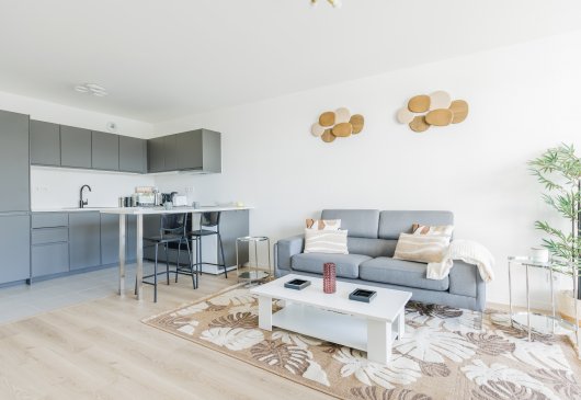 Superb family apartment - Colombes