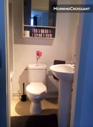 T1 New equipped Media library