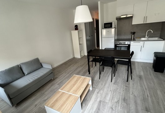Furnished 2-room flat