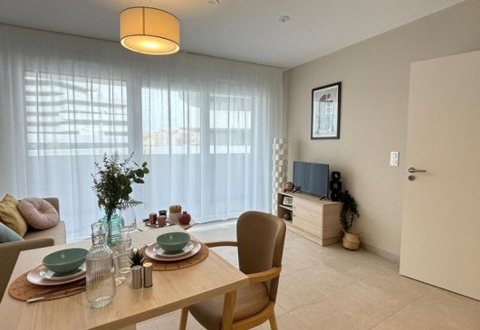 Nice furnished T1, quiet residence