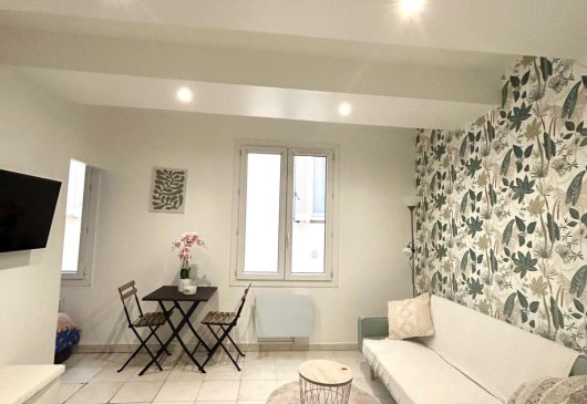 Furnished 1B flat in Marseille