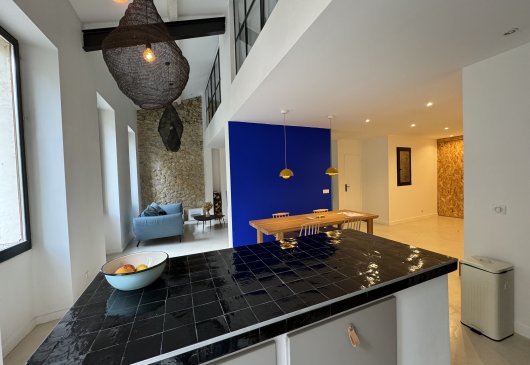 Duplex architect's loft 100m2
