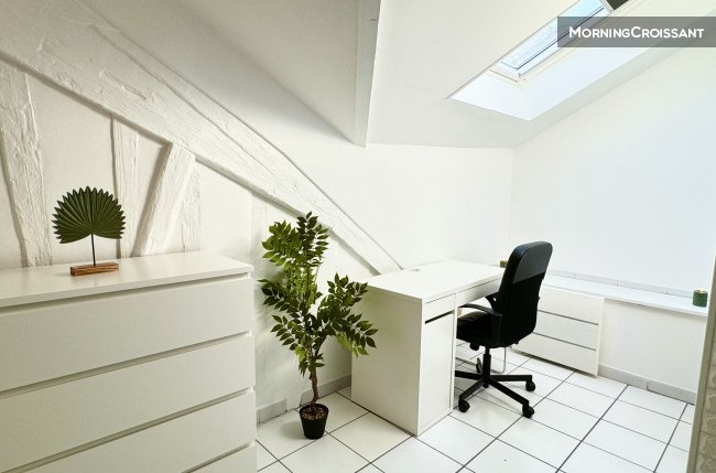 Furnished 2-room flat