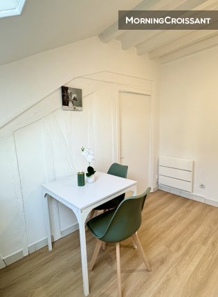 Furnished 2-room flat