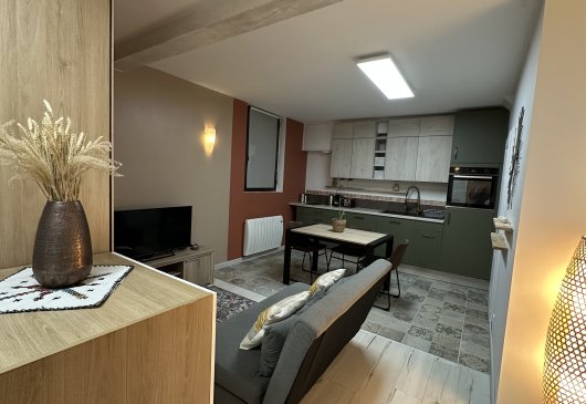 Fully-equipped zen loft Perrache