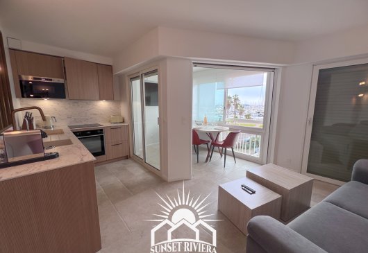 Nice furnished T2 flat Antibes