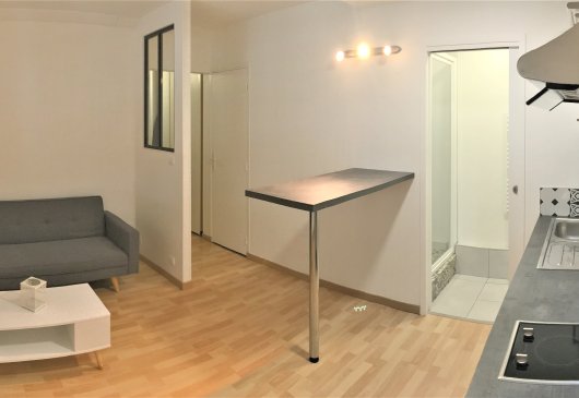 1BR apt - center - refurbished