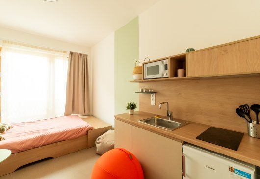Fully equipped studio in Villejuif