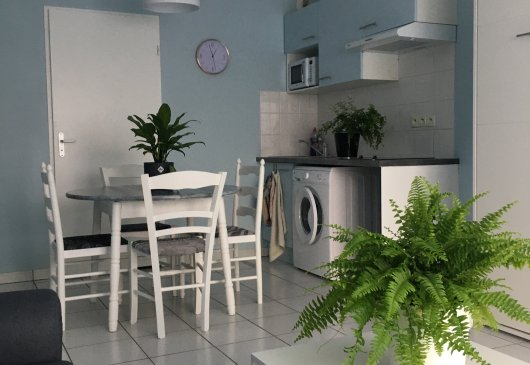 Charming studio apartment