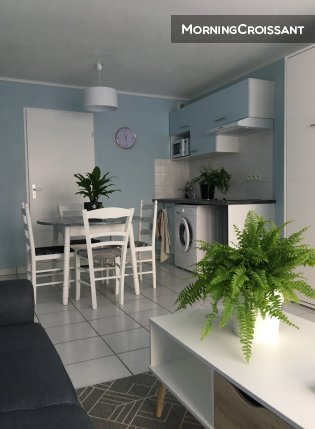 Charming studio apartment
