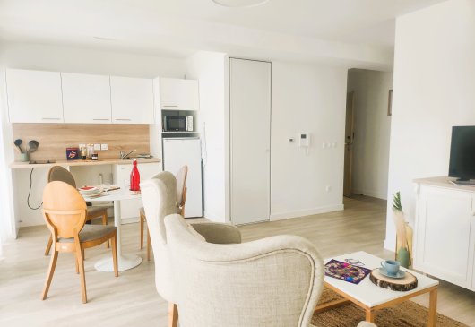 Very large 3-room apartment in town