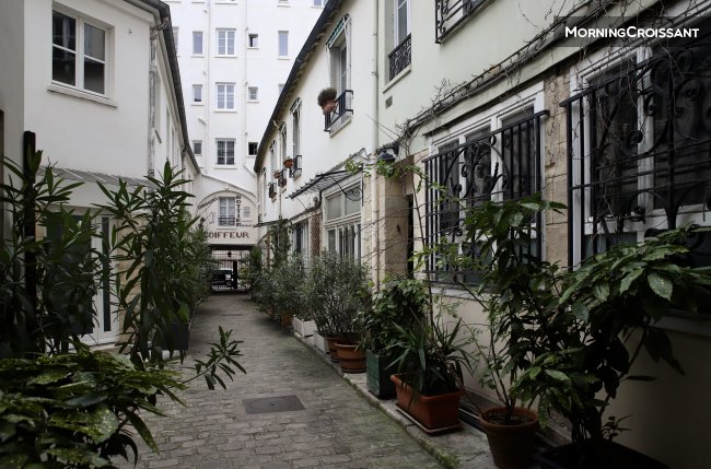 Plant garden