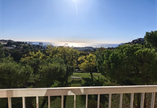 T3 Sea view Saint antoine