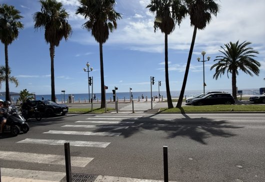 Apartment Promenade -Tram Magnan