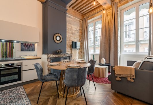 T2 Furnished and equipped Lyon