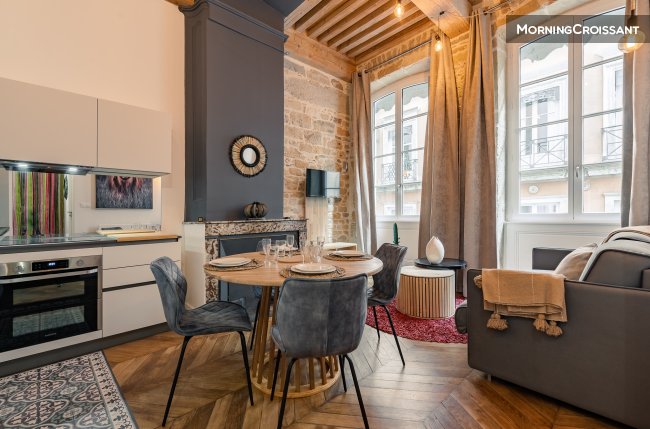 T2 Furnished and equipped Lyon